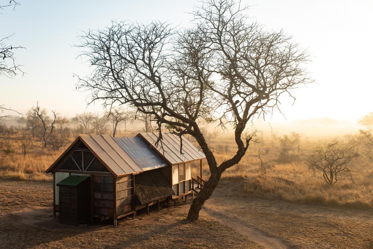 Buffelshoek Tented Camp محمية مانيليتي للطرائد المظهر الخارجي الصورة